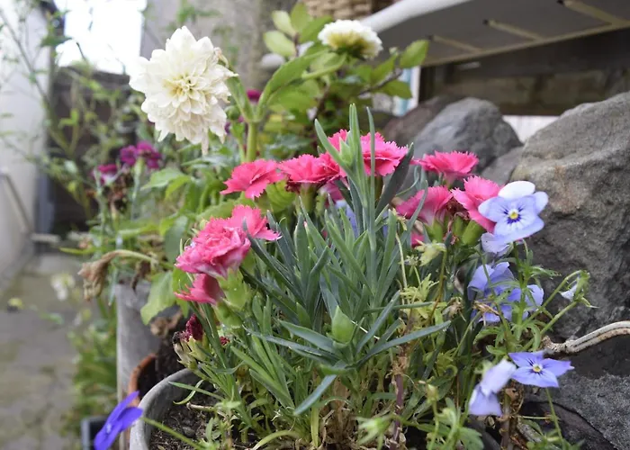 Cosy Self-contained Flat In Apartmán Bristol